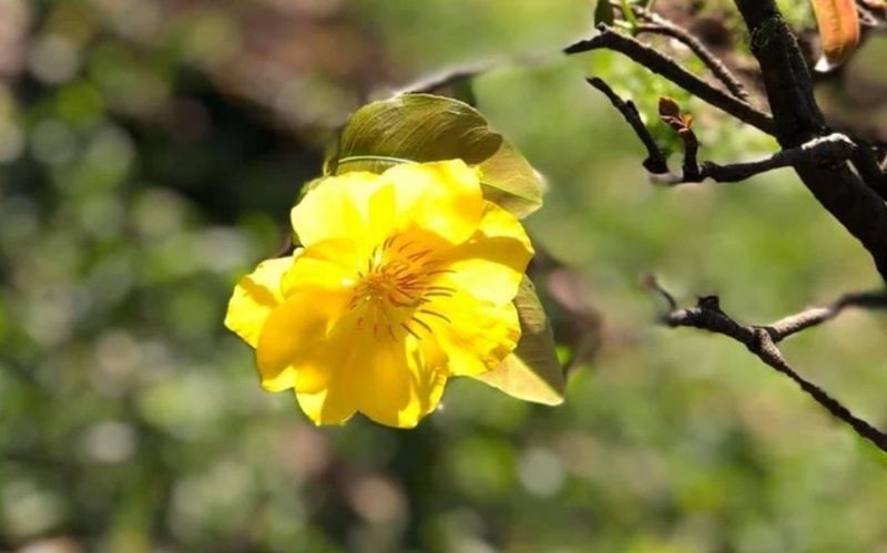 H&igrave;nh minh họa. Nguồn: Internet