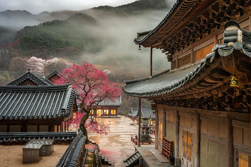 Nguồn ảnh: ch&ugrave;a Hwaeomsa