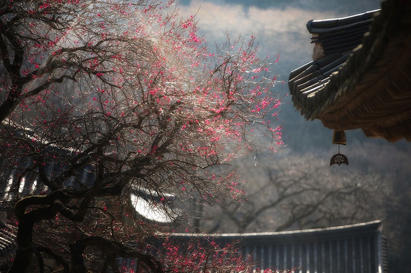 Nguồn ảnh: ch&ugrave;a Hwaeomsa