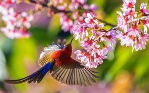 Xuân về, gói những yêu thương…