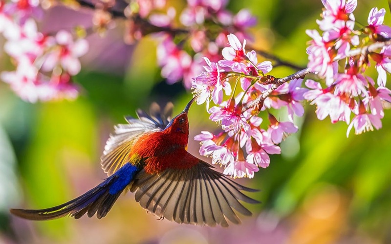 H&igrave;nh minh họa. Nguồn: Internet