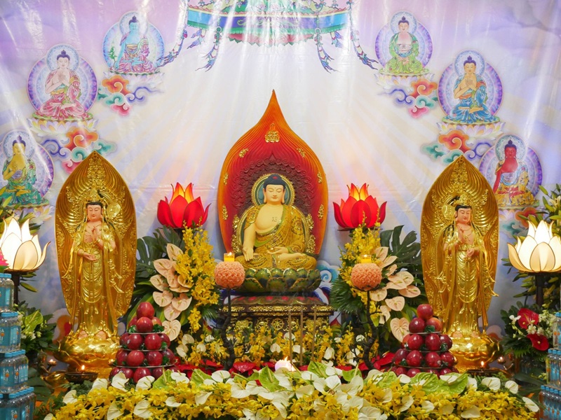 H&igrave;nh minh họa. Nguồn: Internet