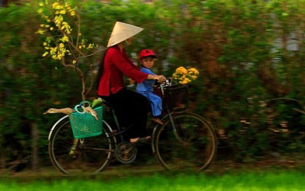 Mùa Xuân của Mẹ