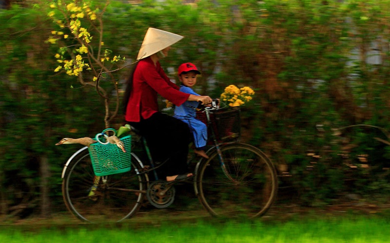 H&igrave;nh minh họa. Nguồn: Internet