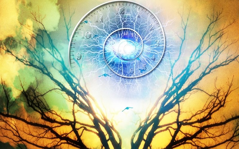 H&igrave;nh mang t&iacute;nh minh họa. Nguồn: Internet