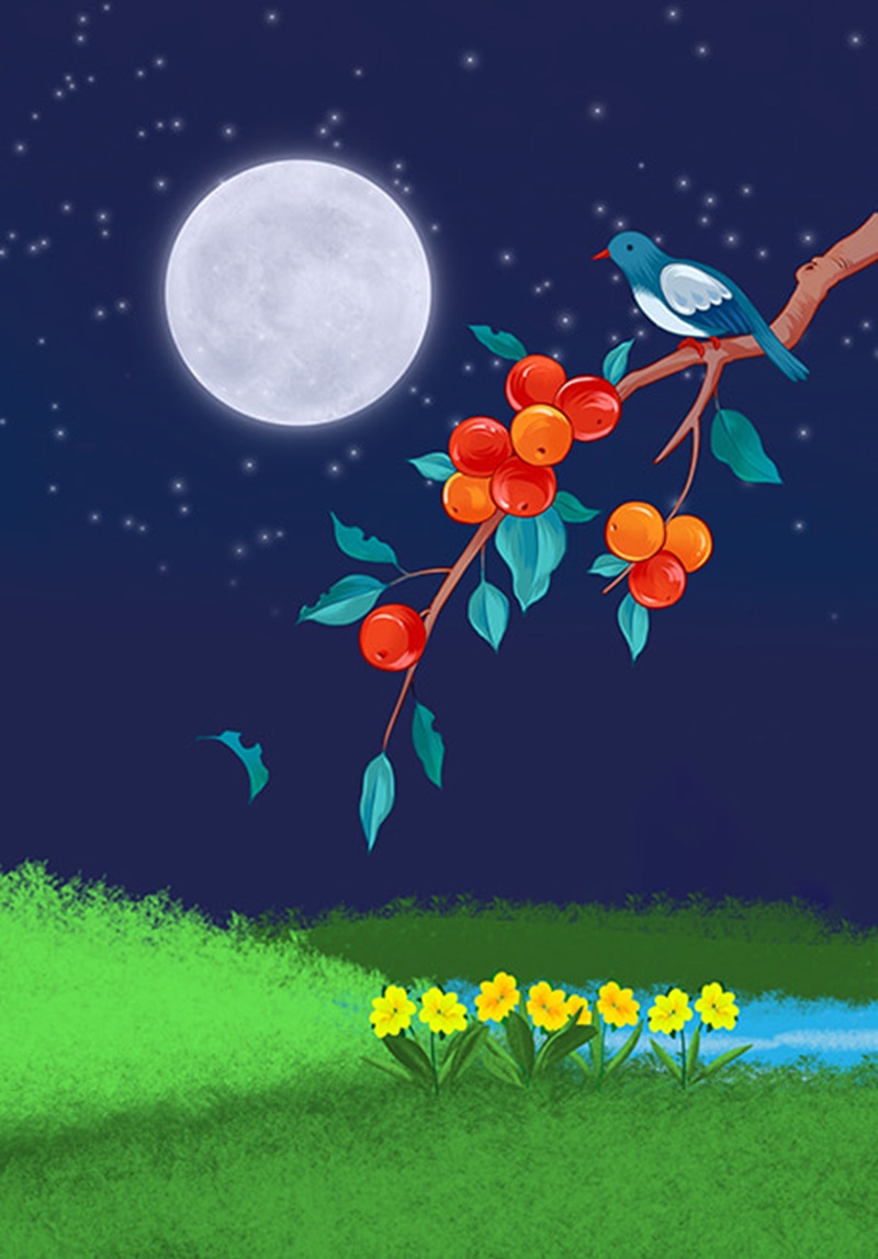 H&igrave;nh mang t&iacute;nh minh họa. Nguồn: Internet