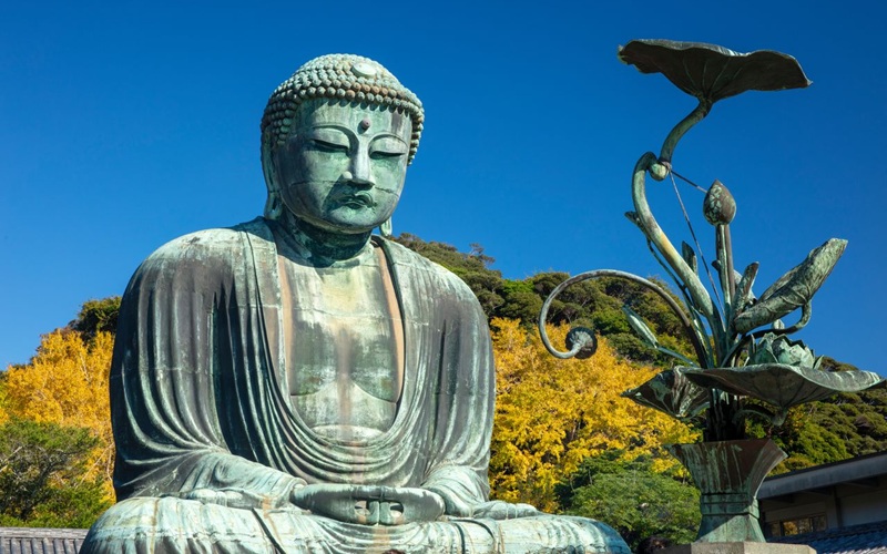 Cảnh sắc m&ugrave;a thu của tượng Phật Kamakura Daibutsu, với những h&agrave;ng c&acirc;y bạch quả v&agrave;ng rực rỡ ở ph&iacute;a xa. (&copy; Harada Hiroshi)