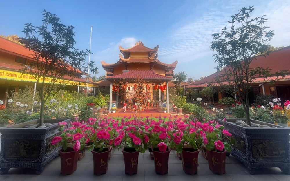 Mái chùa Việt dung tuổi già, dưỡng mầm xanh