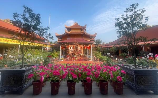 Mái chùa Việt dung tuổi già, dưỡng mầm xanh