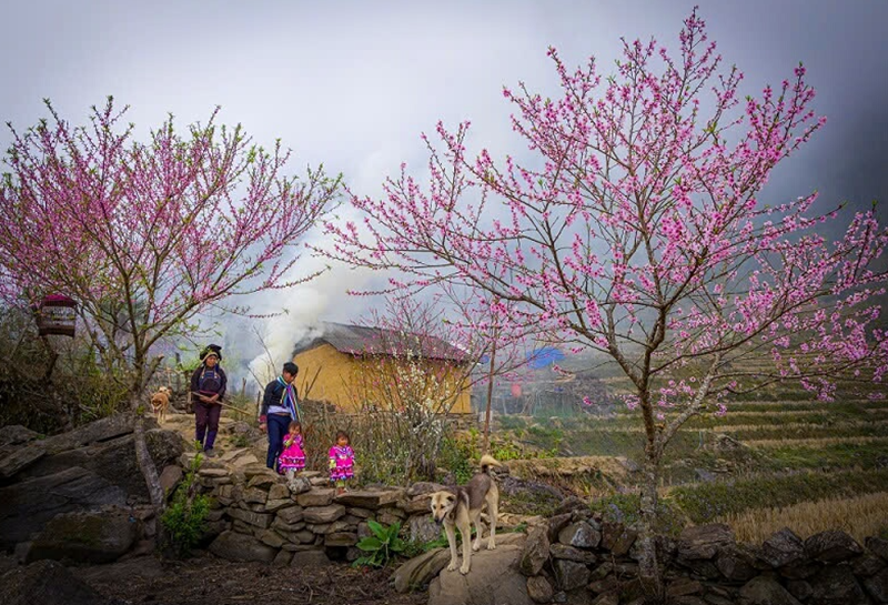 H&igrave;nh ảnh chỉ mang t&iacute;nh chất minh hoạ