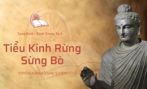 Tinh thần hòa hợp qua Tiểu Kinh Sừng Bò