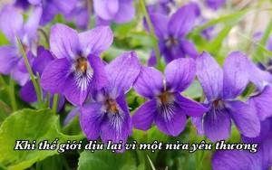 Khi thế giới dịu lại vì một nửa yêu thương