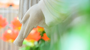 Nhẫn giữa thuận và nghịch cảnh: an yên sẽ thấy duyên sinh, diệt