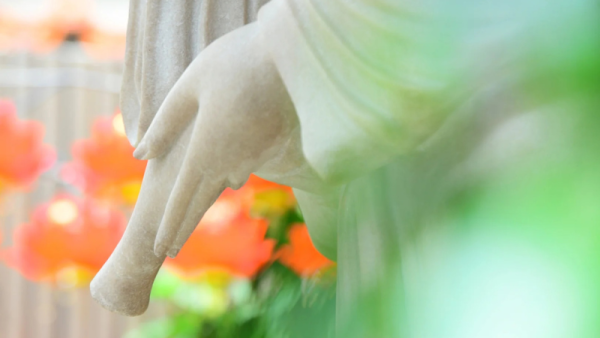 Nhẫn giữa thuận và nghịch cảnh: an yên sẽ thấy duyên sinh, diệt