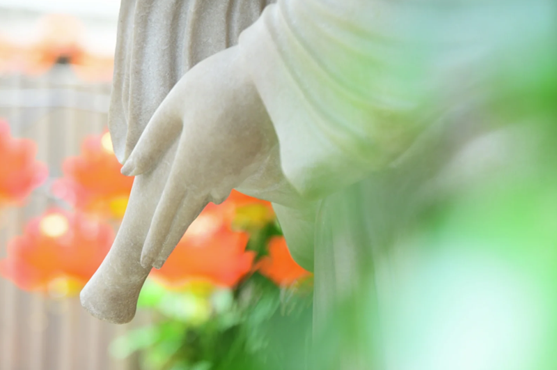 H&igrave;nh ảnh chỉ mang t&iacute;nh chất minh hoạ (sưu tầm)