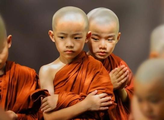 Nếu có 5 đức tính này thì người tu ở đâu cũng được thương kính