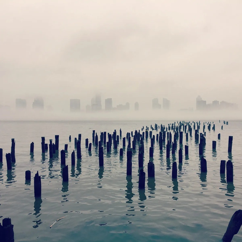 &ldquo;Thế giới chuyển tiếp&rdquo; của Maria Popova.