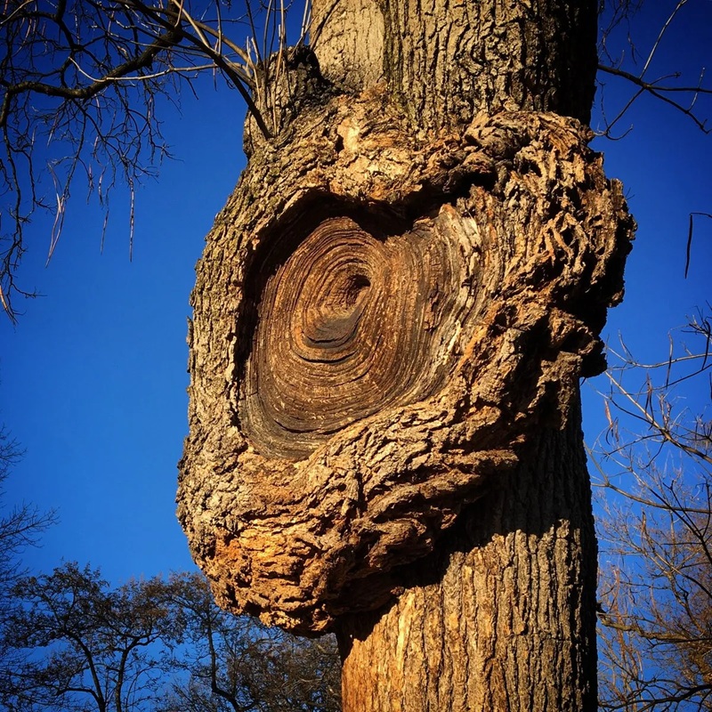 T&aacute;c phẩm &ldquo;Tan vỡ tr&aacute;i tim&rdquo; của Maria Popova. 