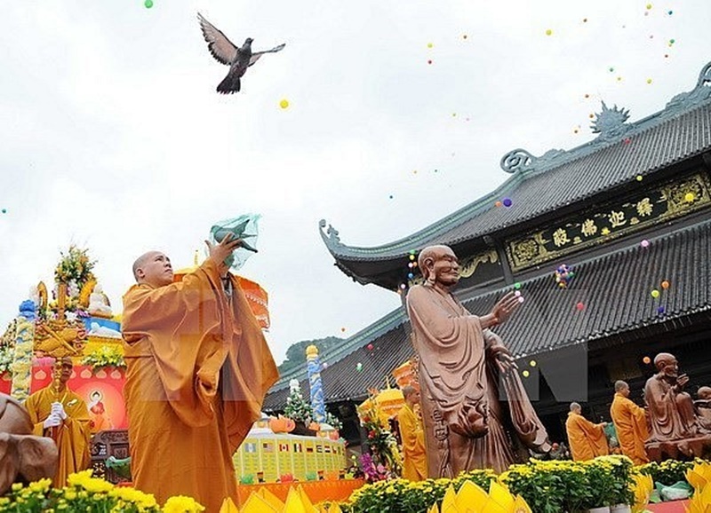 H&igrave;nh minh họa. Nguồn: Internet