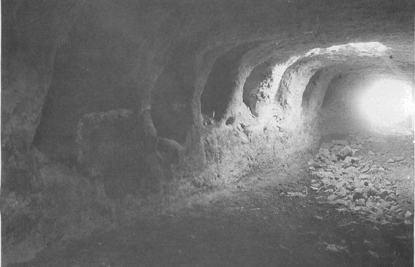 Phật giáo Trung Đông cổ đại và trung cổ: Phật giáo truyền vào phương Tây từ bao giờ?