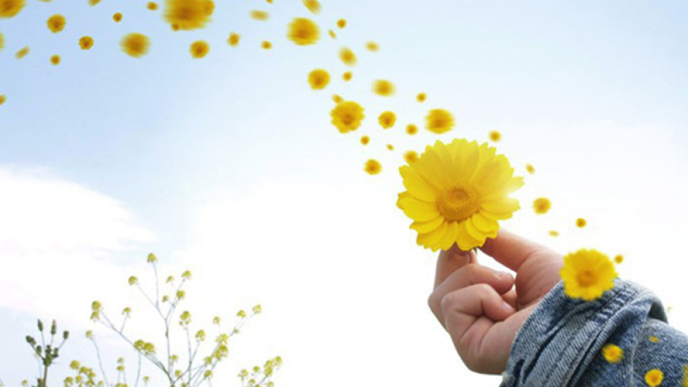 Hạnh phúc tự thân