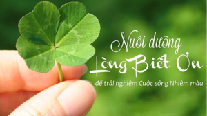 Học cách nói lời cảm ơn