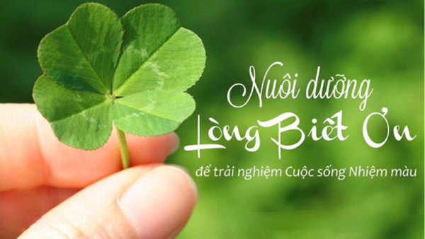 Học cách nói lời cảm ơn