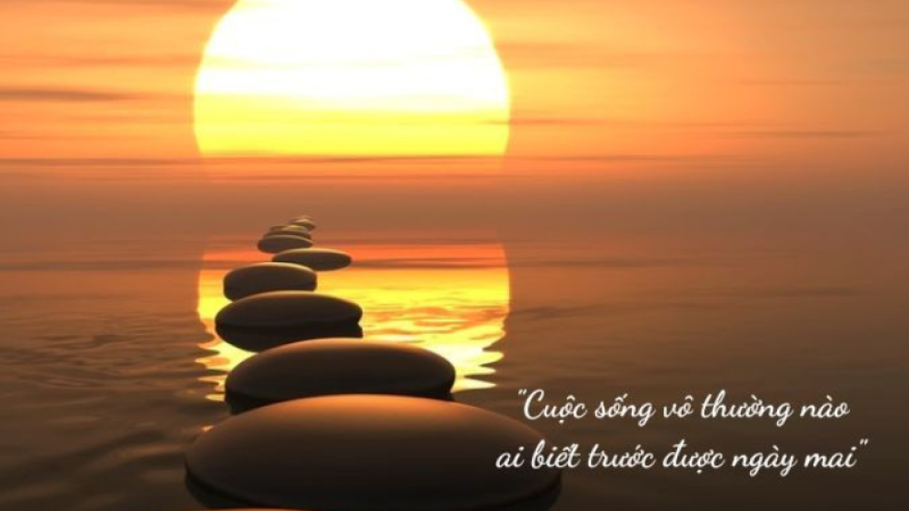 Hãy học cách sống trọn vẹn cuộc đời