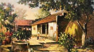 Vệt nắng tường rêu