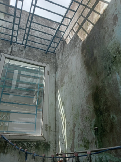 H&igrave;nh ảnh t&aacute;c giả cung cấp