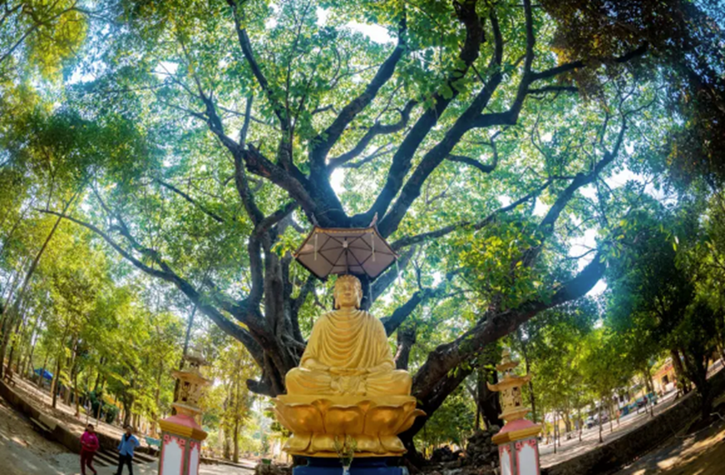 Tượng Phật trong khu&ocirc;n vi&ecirc;n ch&ugrave;a Thi&ecirc;n Ấn.