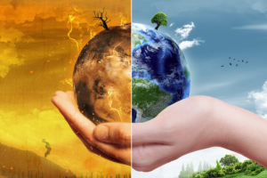 Ứng dụng tư tưởng duyên sinh trong bối cảnh khủng hoảng khí hậu