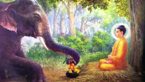 Cội nguồn an lạc thông qua câu chuyện Chúa Nai và Con voi