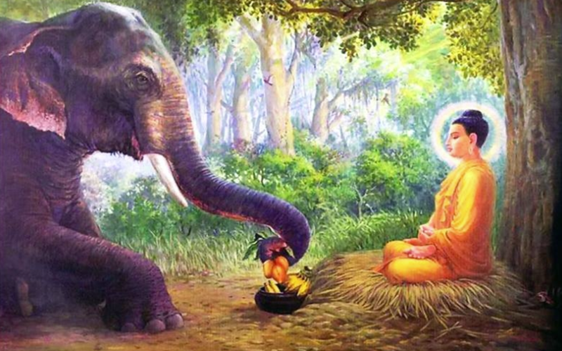 H&igrave;nh ảnh chỉ mang t&iacute;nh chất minh hoạ (sưu tầm)