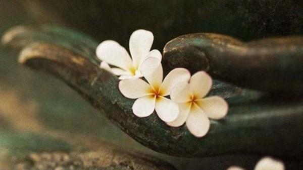 Bộ câu hỏi về "Tứ y pháp"