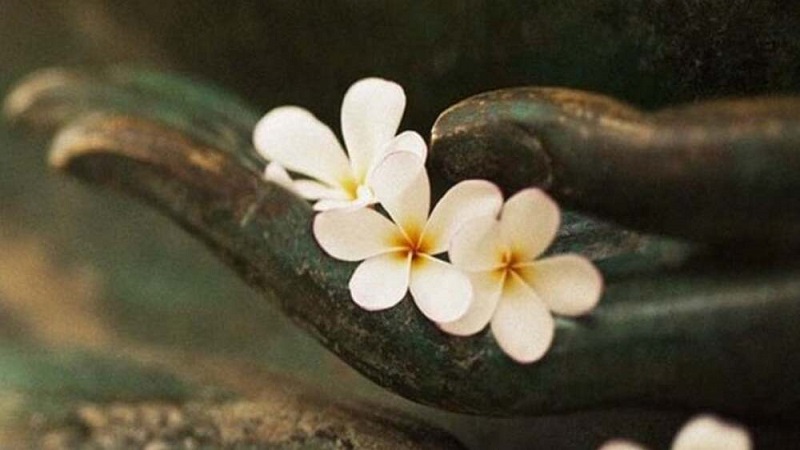 Bộ câu hỏi về "Tứ y pháp"