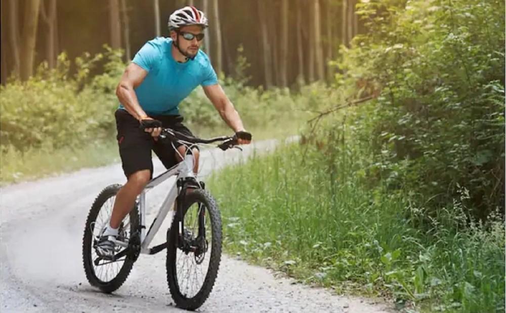 Hạnh phúc bánh xe quay