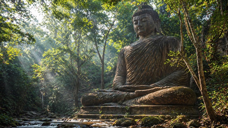 Kinh Hoa Nghiêm Đại Phương Quảng Phật tóm lược (Quyển 13)