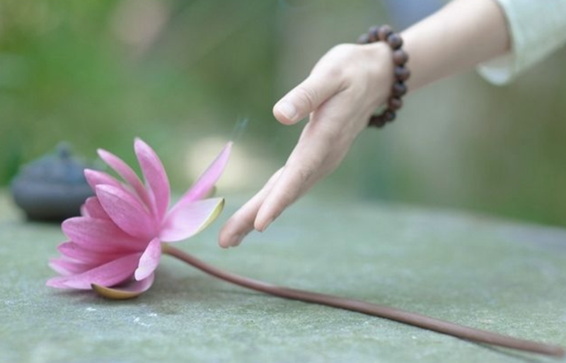 H&igrave;nh ảnh chỉ mang t&iacute;nh chất minh hoạ (sưu tầm)