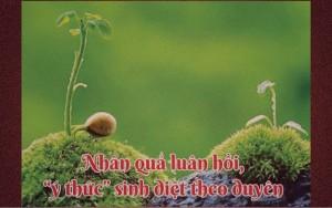 Nhân quả luân hồi, “ý thức” sinh diệt theo duyên