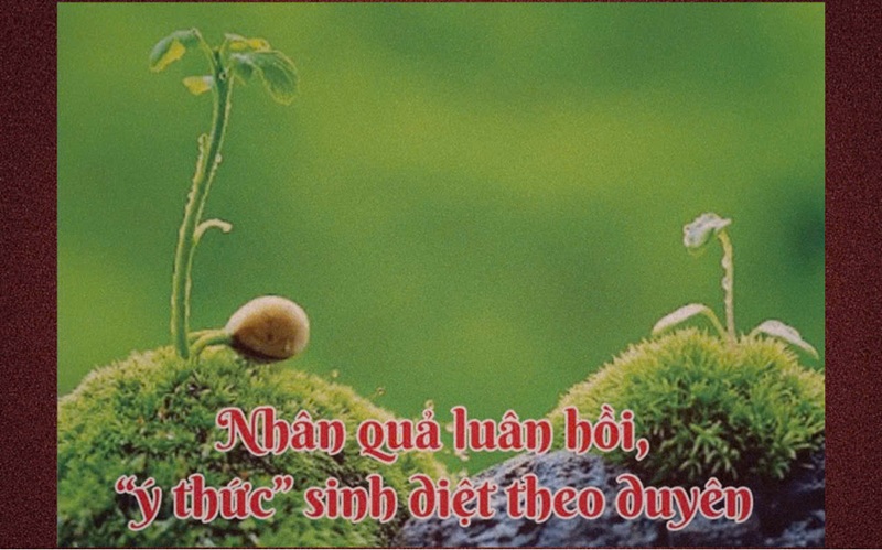 Nhân quả luân hồi, “ý thức” sinh diệt theo duyên