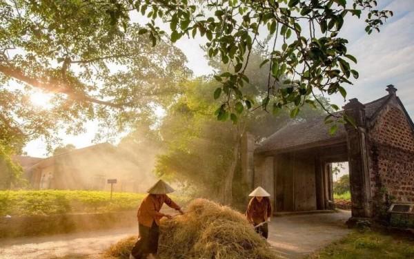 Lạc giữa bóng quê