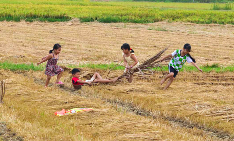 H&igrave;nh ảnh chỉ mang t&iacute;nh chất minh hoạ (sưu tầm)