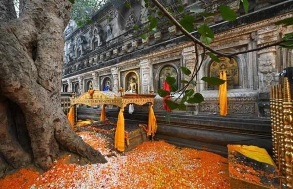 Sự hưng thịnh, suy tàn và phục hưng của Phật giáo Ấn Độ
