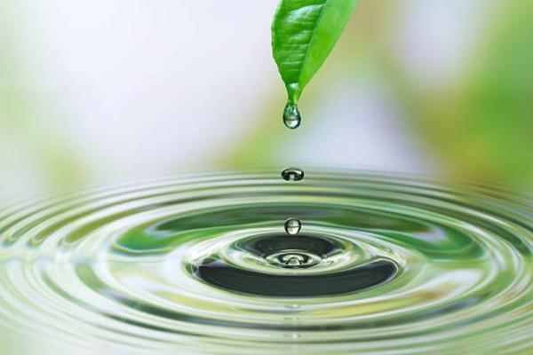 Nhận thức về "thân thể" như con đường giác ngộ trong Thiền tông Trung Quốc