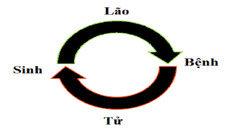 Ảnh minh họa (sưu tầm)