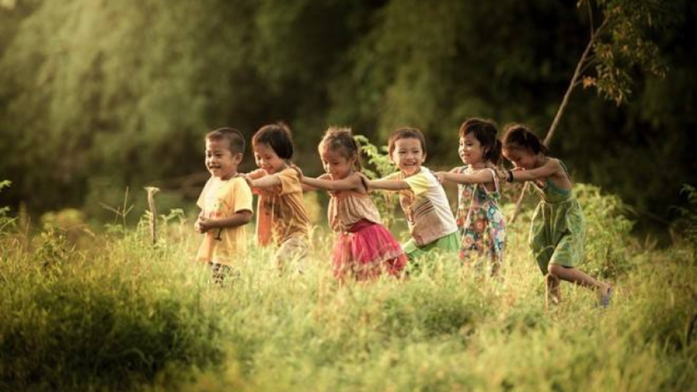 Vớt bèo nấu cám ngày xưa