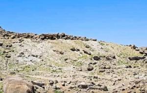 Phát hiện di chỉ khảo cổ Phật giáo cổ đại tại miền Đông Afghanistan