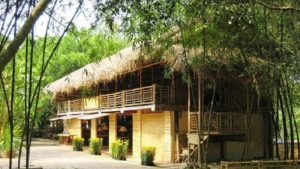 Một thoáng Việt Nam