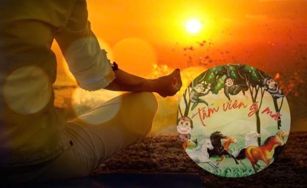 Tâm viên ý mã và Vipassana